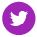 Icon: Twitter